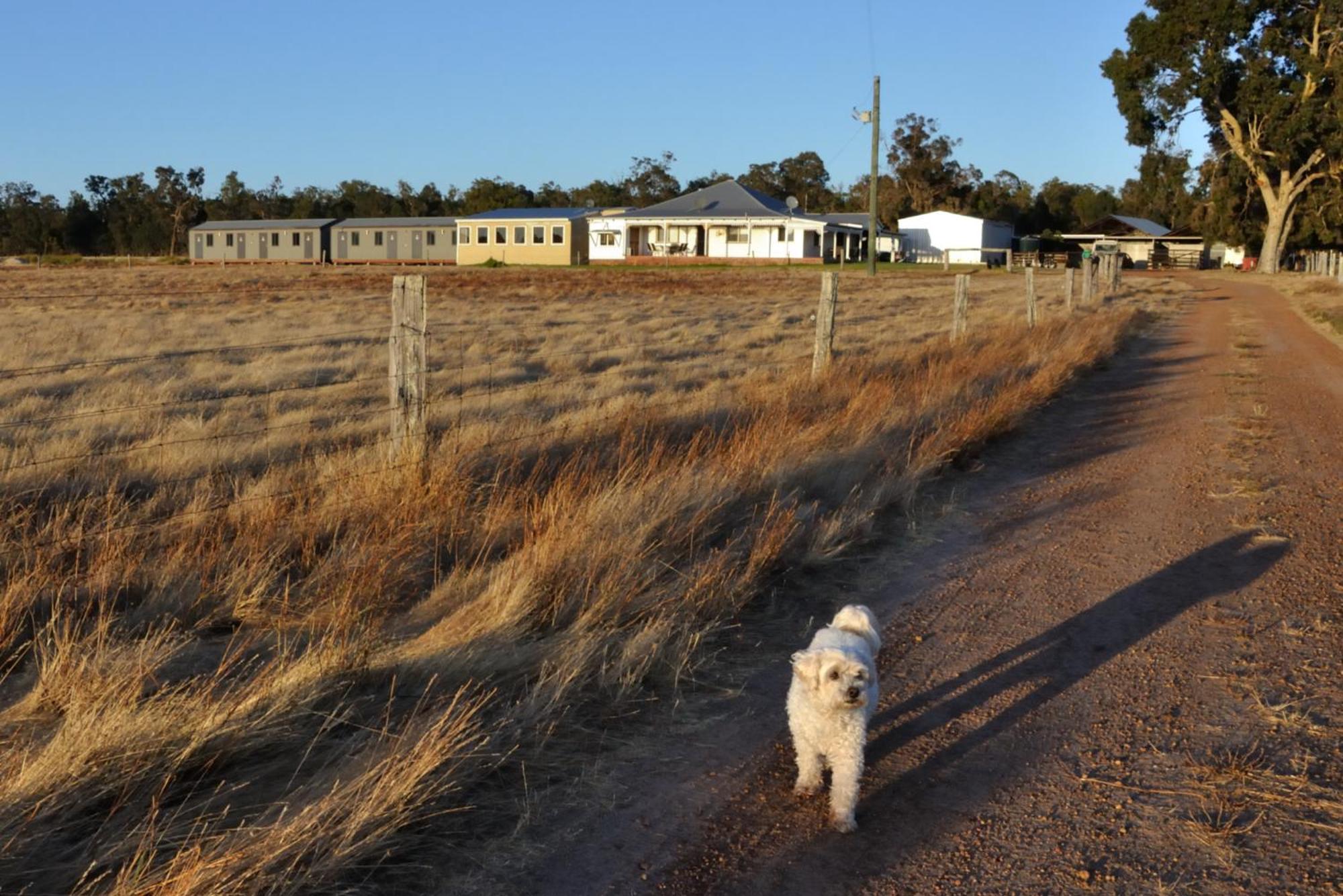 Donn4254s2 - Wilga Farm - Shearer's Shack - Double Apartment Boyup Brook