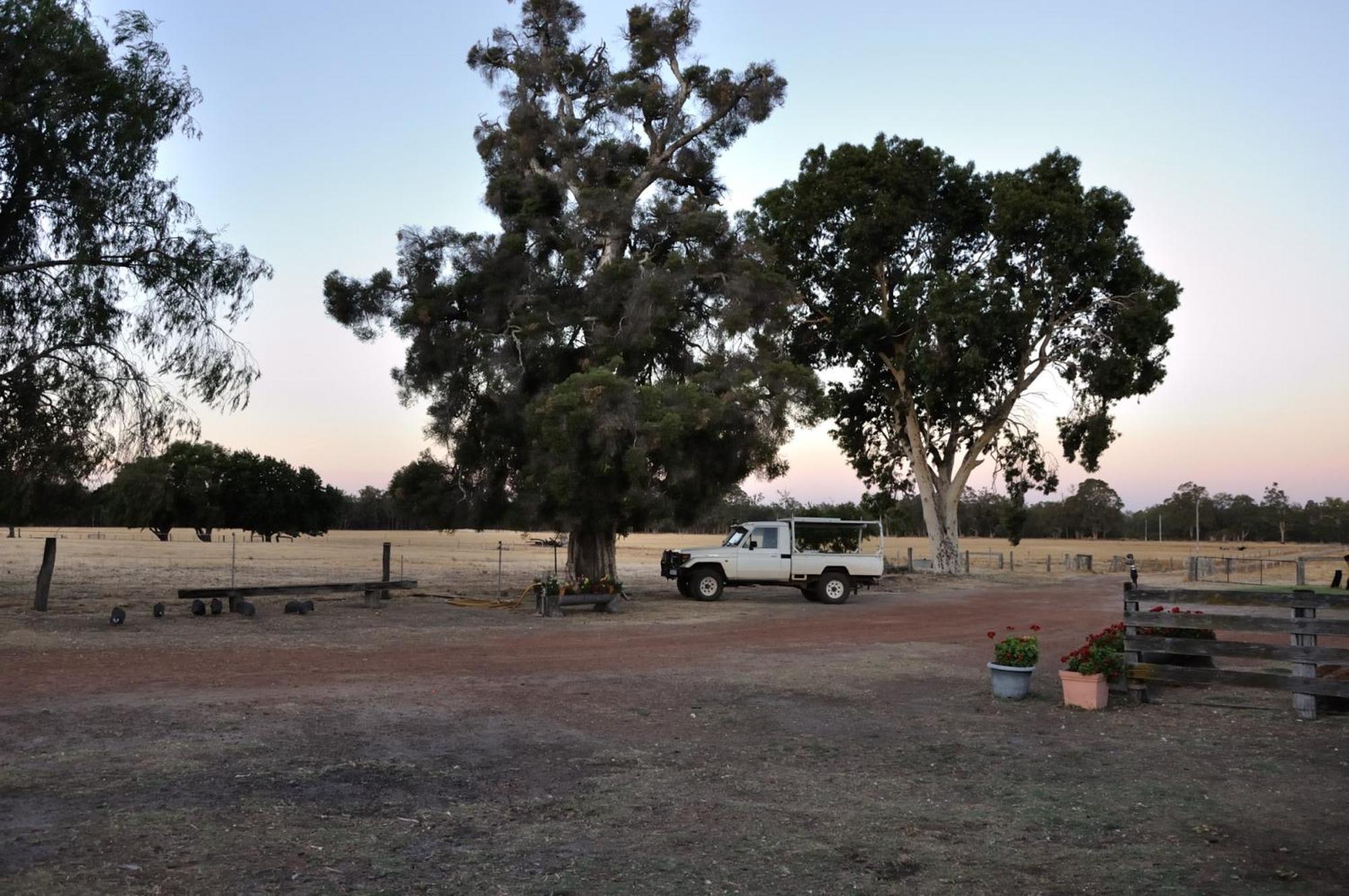Donn4254s2 - Wilga Farm - Shearer's Shack - Double * Boyup Brook