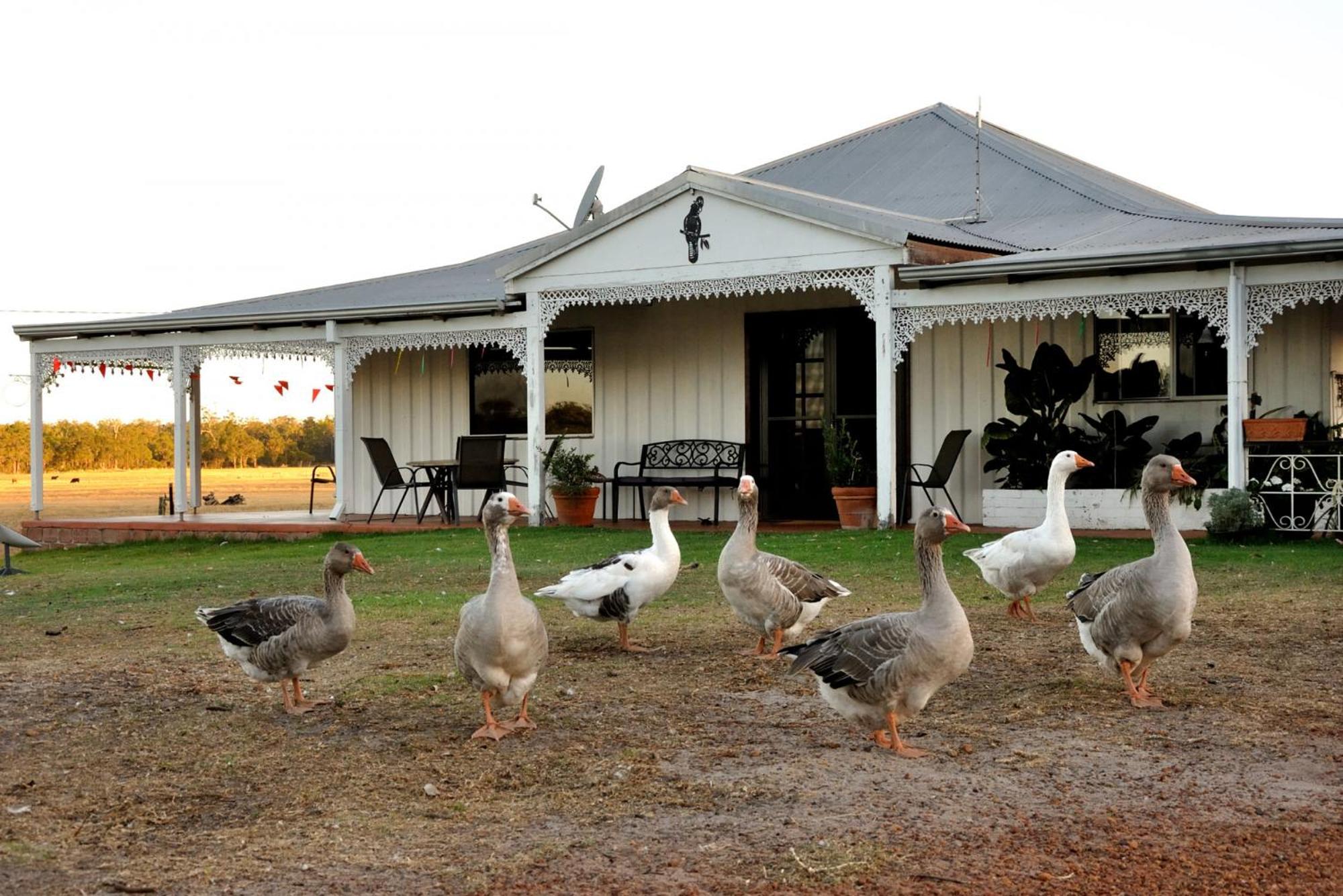 Donn4254s2 - Wilga Farm - Shearer's Shack - Double * Boyup Brook