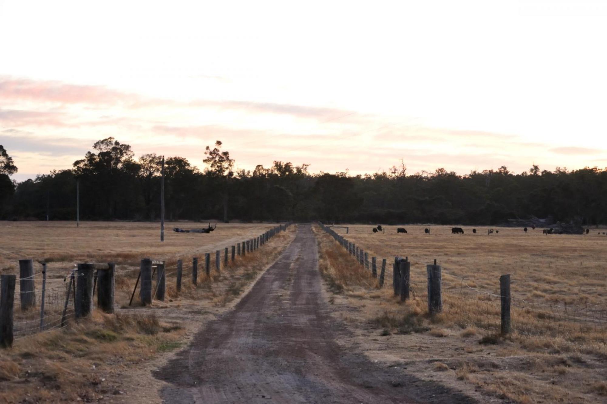 Donn4254s2 - Wilga Farm - Shearer's Shack - Double * Boyup Brook